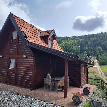 Vila Carobna Suma Tara バイナ・バシュタ エクステリア 写真