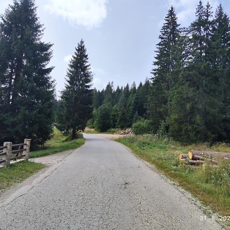 Vila Carobna Suma Tara バイナ・バシュタ エクステリア 写真