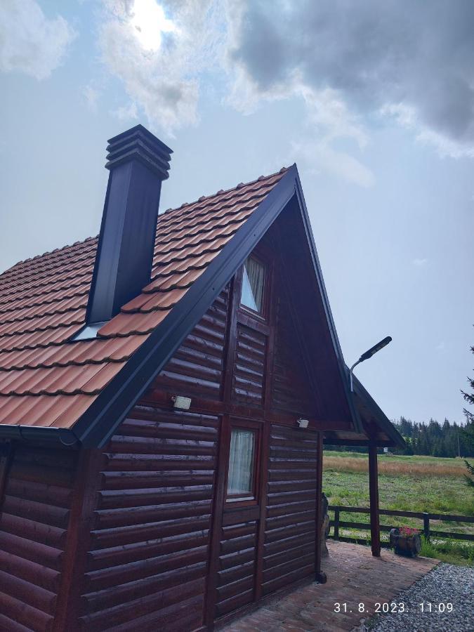 Vila Carobna Suma Tara バイナ・バシュタ エクステリア 写真